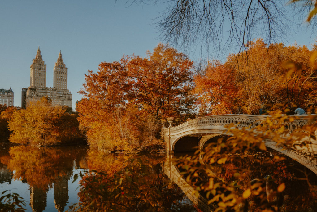 Central Park, New York City- Places to Elope
