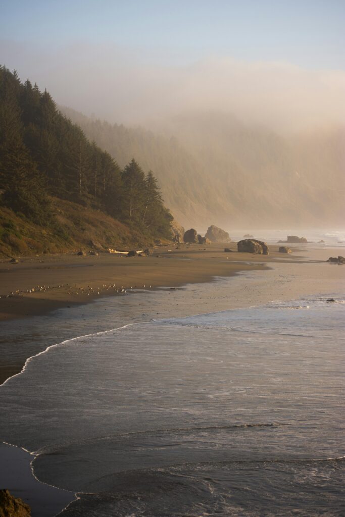 How to Elope in Oregon