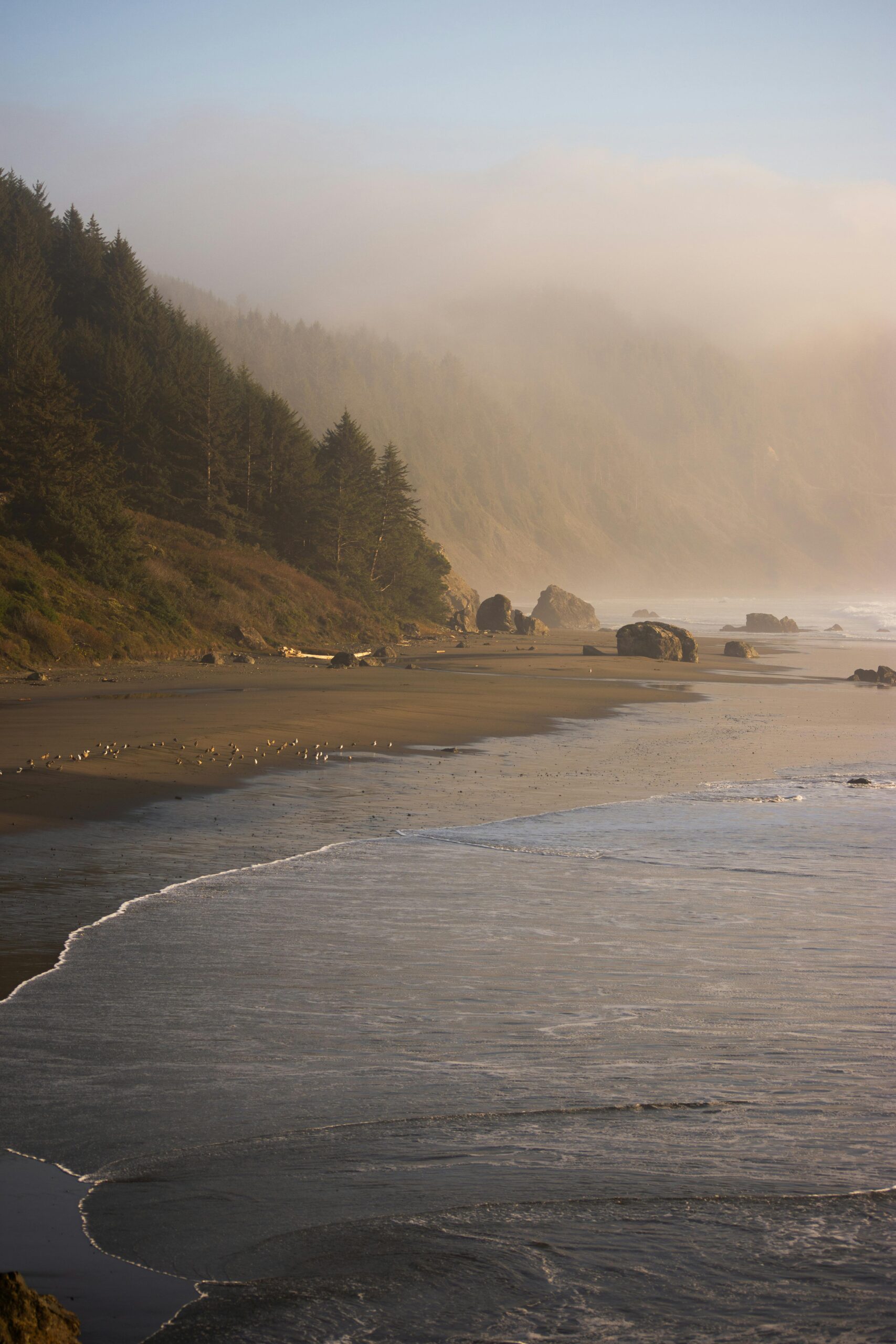 How to Elope in Oregon